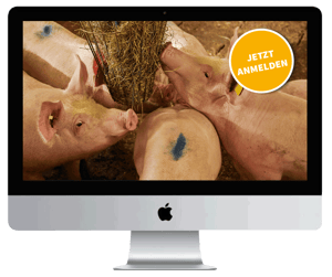 Mac_bild_webseminar-landwirte_Stoffstrombilanz_schweinefütterung
